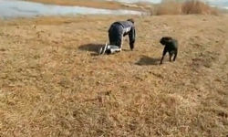 理论·现实·信心